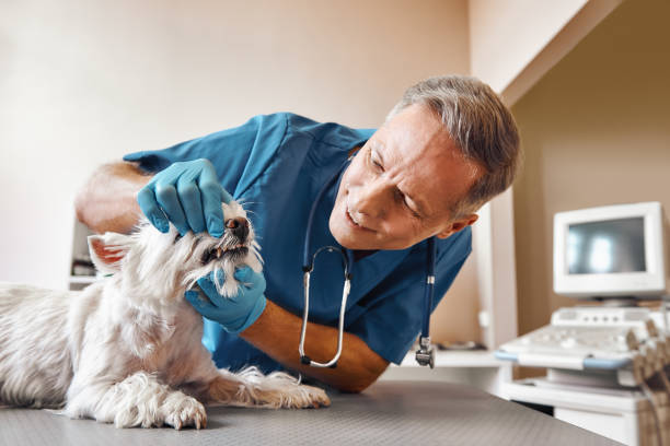 Best Broken Tooth Emergency  in West Rancho Dominguez, CA
